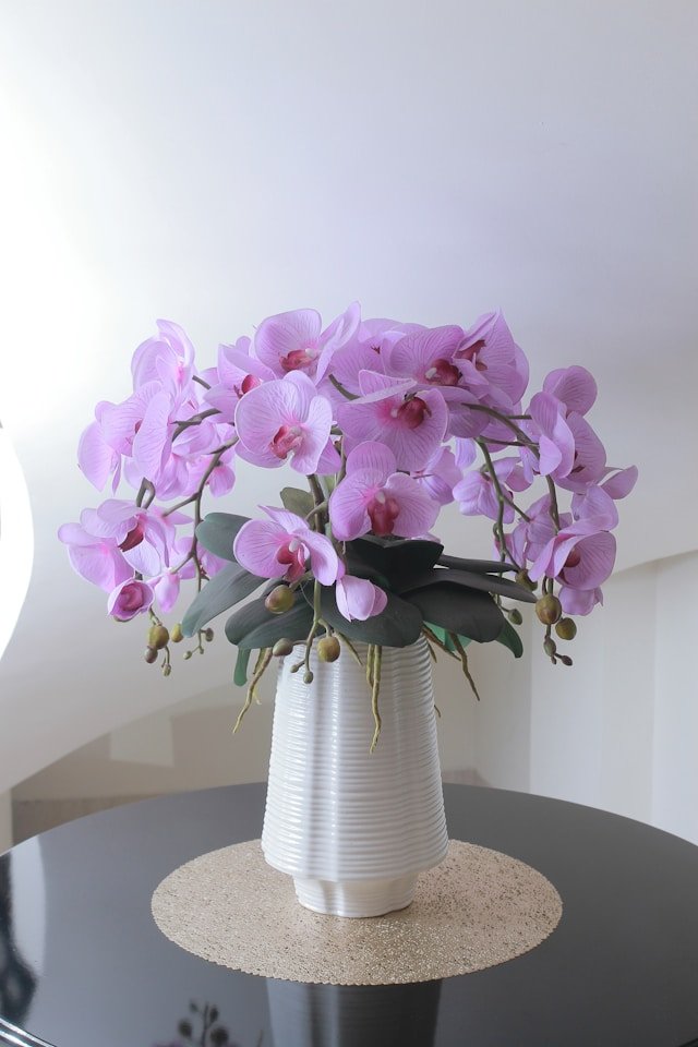 Elegant Purple Orchid